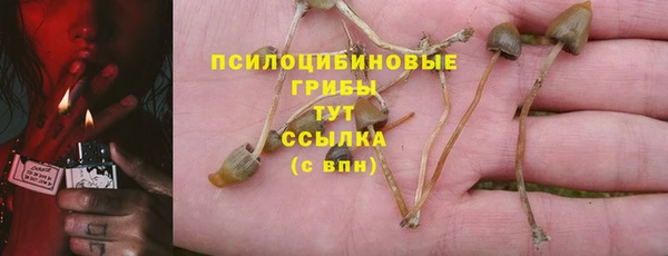 соль курить ск Магадан