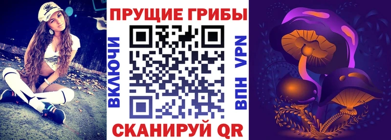 Псилоцибиновые грибы ЛСД  мега рабочий сайт  Коломна 